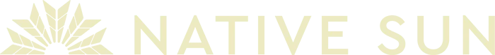 NSUN-Logo